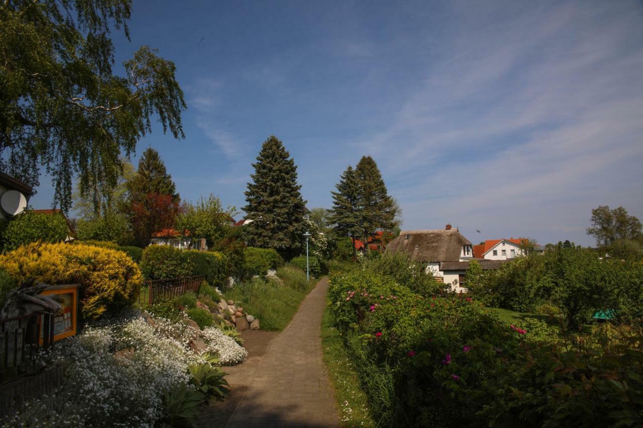 Ferienhaus Suedblick Am Yachthafen Breege Buitenkant foto